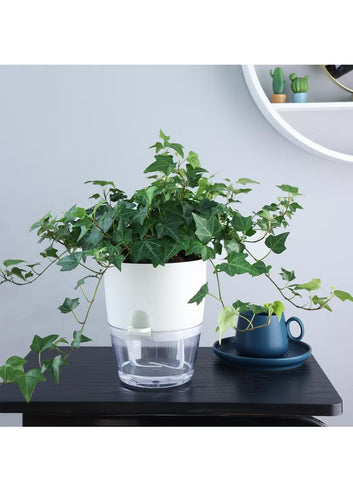 Self Watering Pots, 11.8cm Flowering Pots