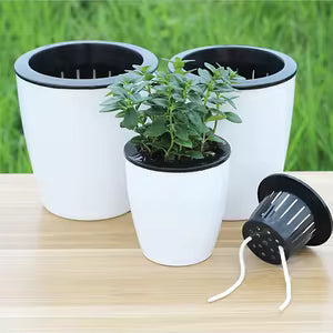 Self Watering Pots أواني الري الذاتي | Modern Decorative Plastic Planters